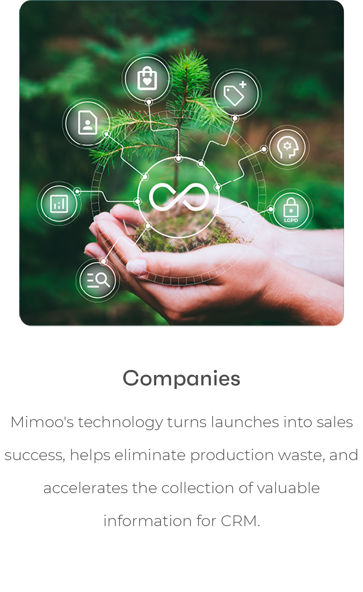 EN - Companies